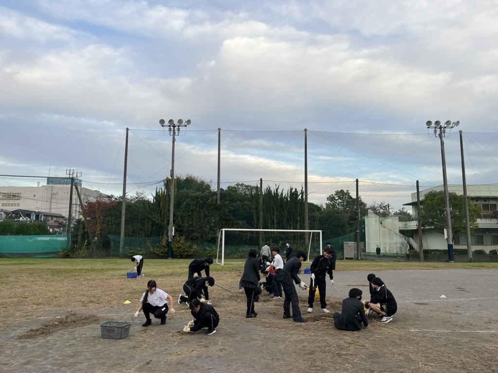 Image - 2025-11-07T114042.738